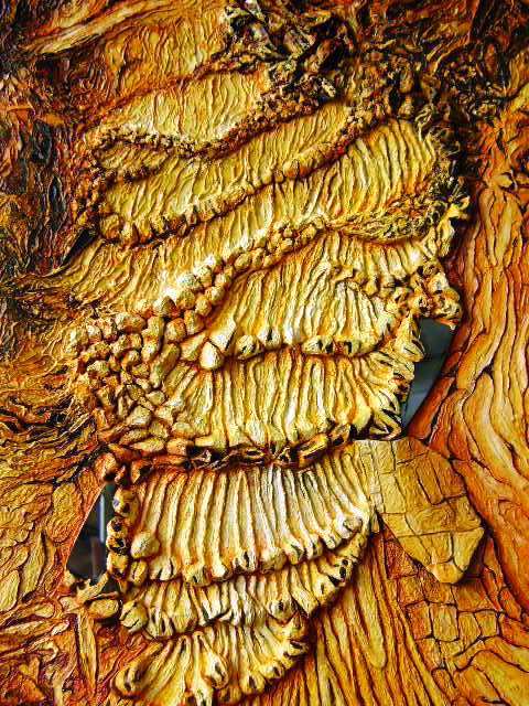 Earth heart (oil, mixed media on canvas)  44x32cm