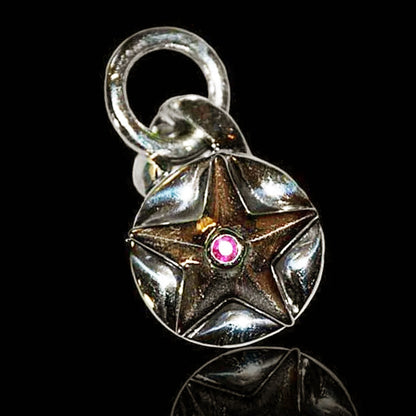 Imperial Rose Small Combo Silver and Bronze Star Pendant with Ruby