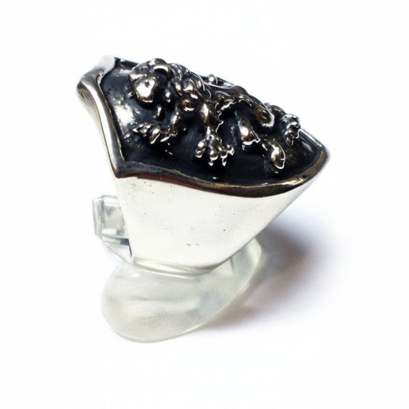 Lion Shield sterling Silver Ring