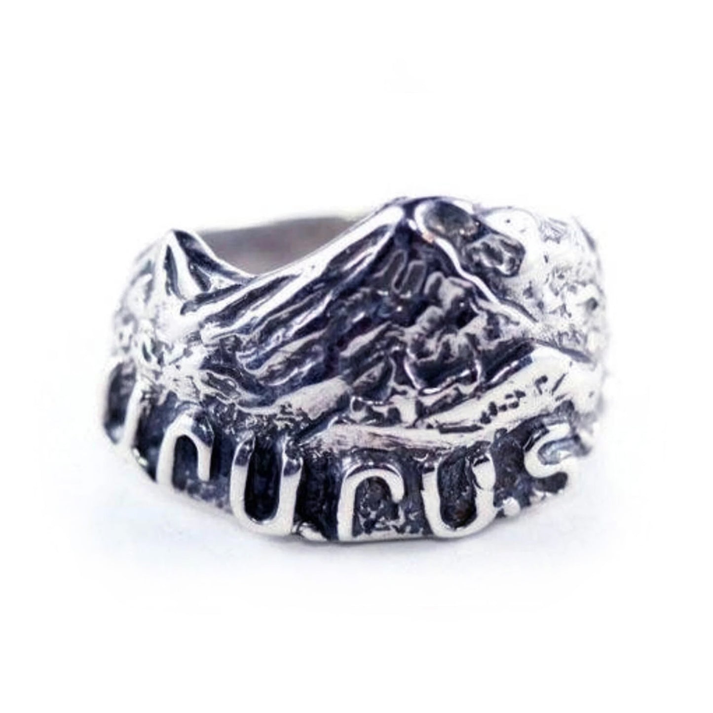Mountain Ararat from Yerevan and khor Virap Side Sterling Silver Ring