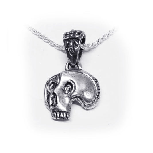 Pablo Picasso Impressionist Artist Skull Sterling Silver Pendant V1