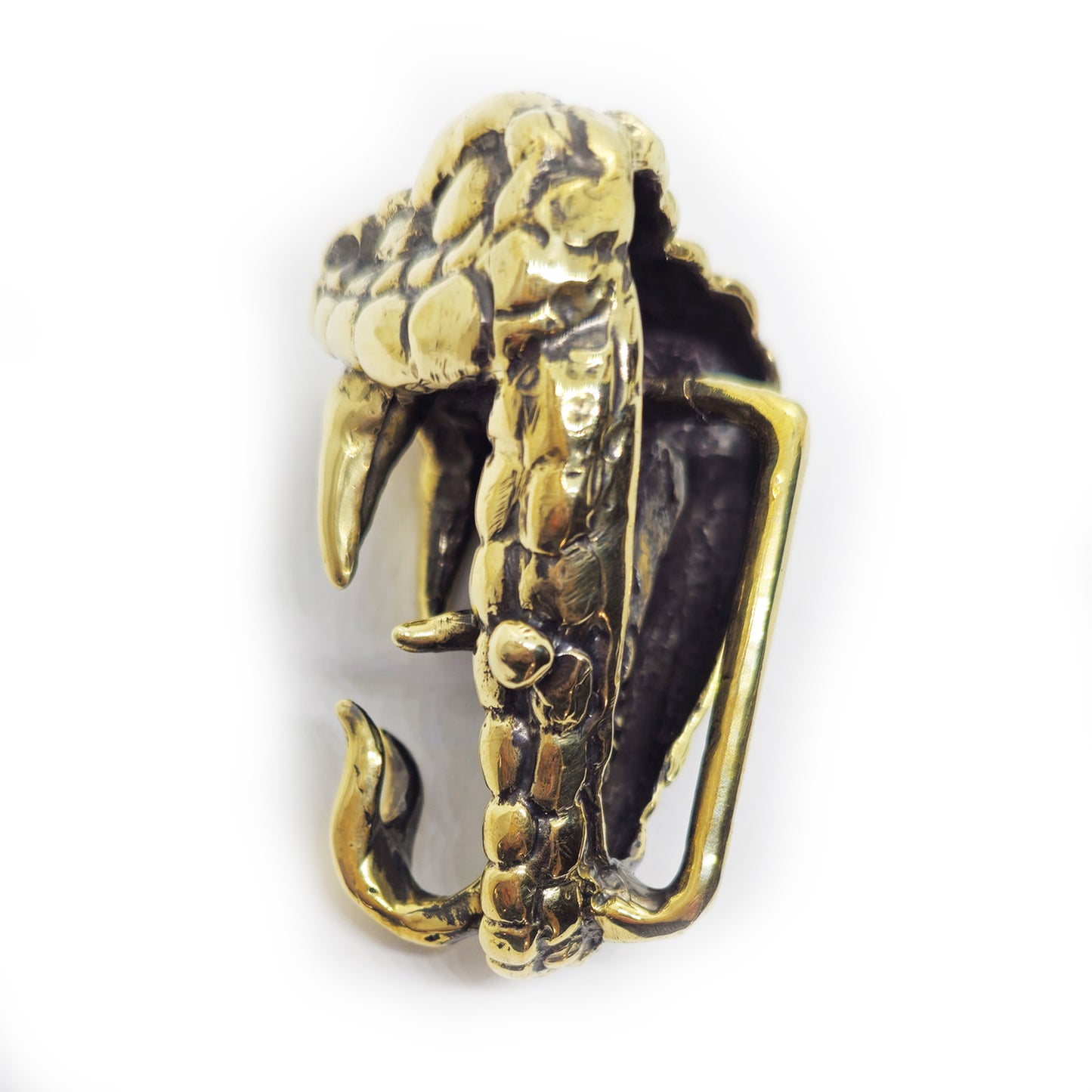 Snake Bite Brass Belt Buckle