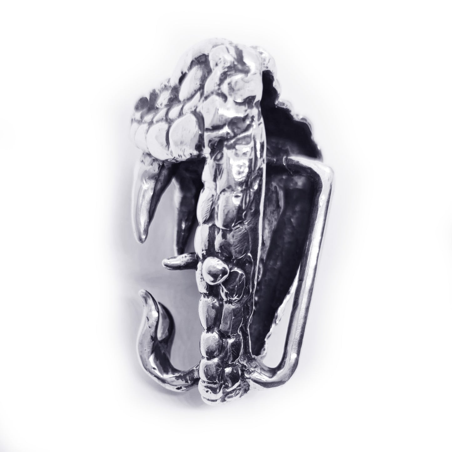 Snake Bite Sterling Silver Belt Buckle