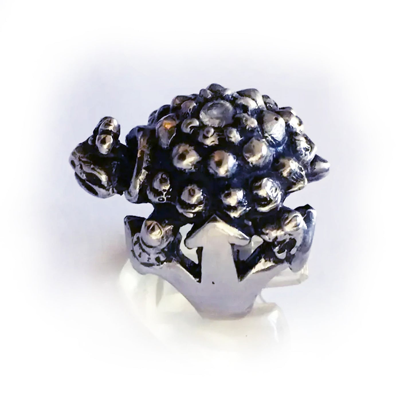 Turtle Ruby Sterling Silver Ring