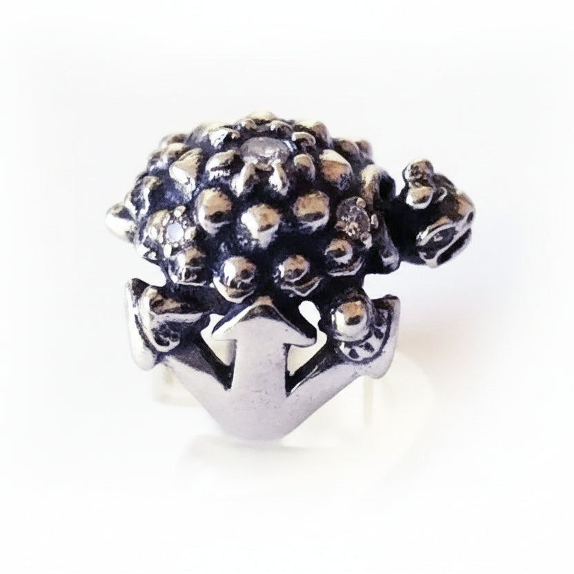 Turtle Ruby Sterling Silver Ring