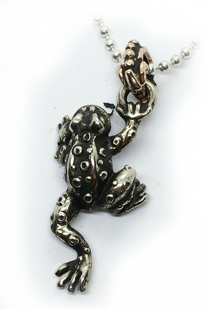Good Luck Frog Silver Pendant