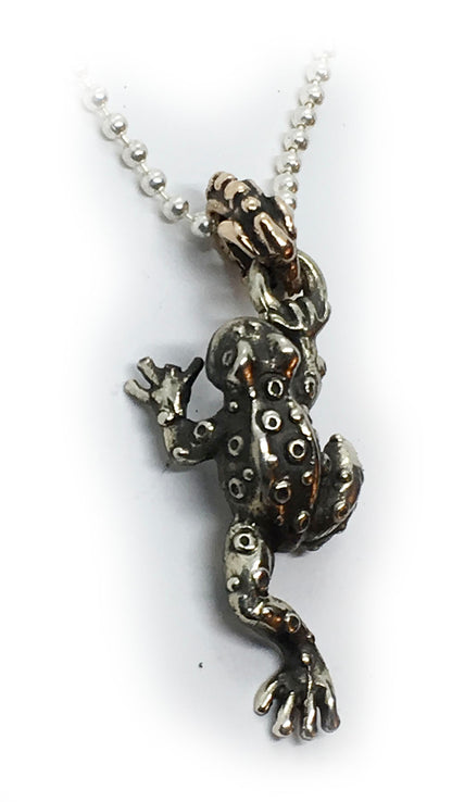 Good Luck Frog Silver Pendant