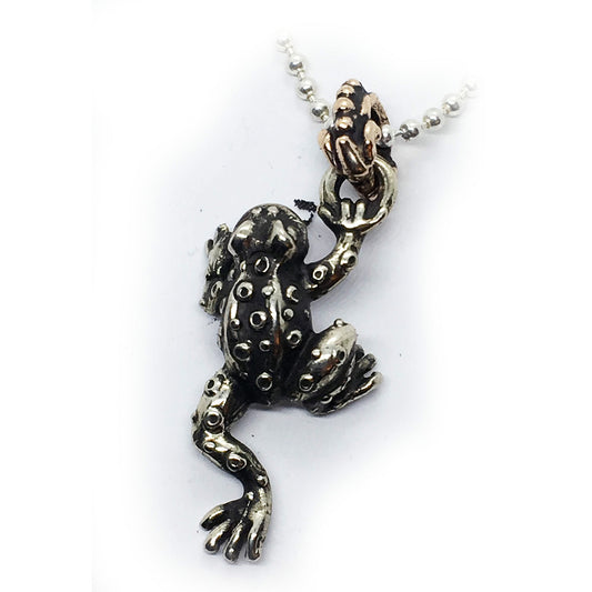 Good Luck Frog Silver Pendant