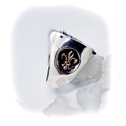 Leonardo Da Vinci Silver Bronze Ring
