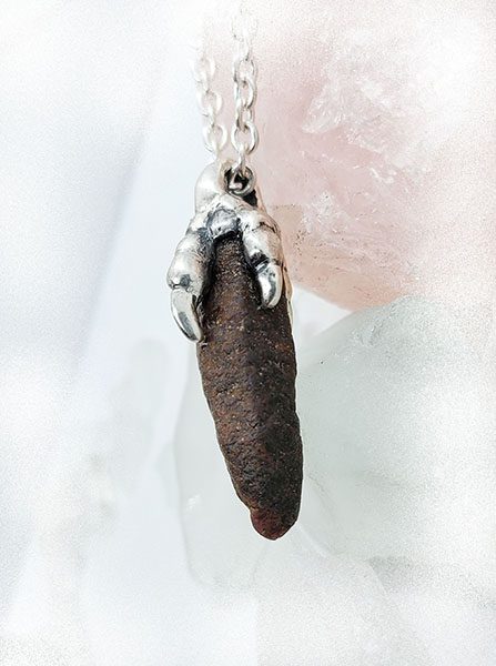 Dinosaur Claw with Natural Ruby Stone Sterling Silver Necklace 2